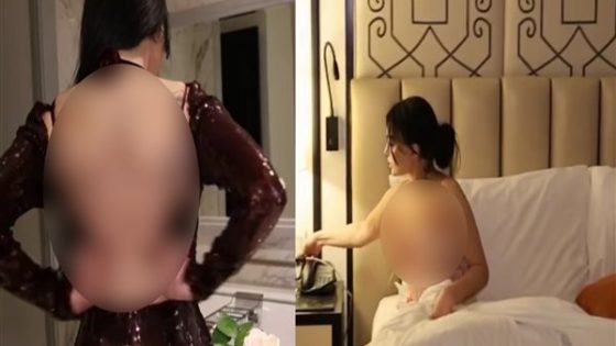 فيديو هيفاء وهبي كامل