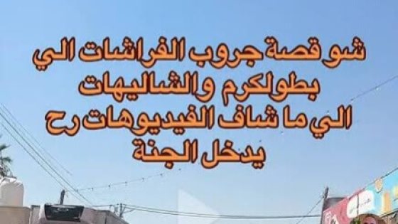 فيديوهات شاليهات طولكرم