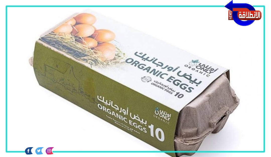 10 معلومات عن البيض الأورجانيك وسعره والفرق بينه وبين البيض العادي؟