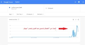 ياسمين عبد العزيز يكتسح جوجل 